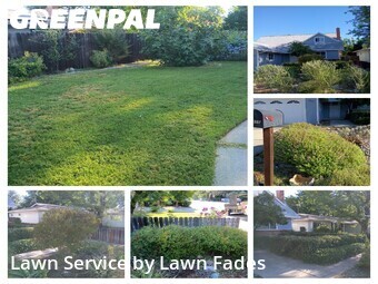 Grass Cut nearby Davis, CA, 