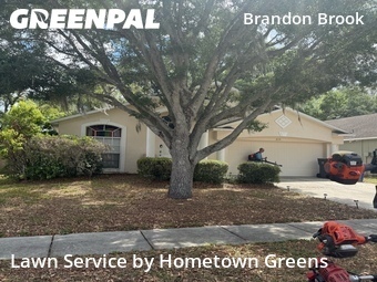 Yard Mowing nearby Valrico, FL, 