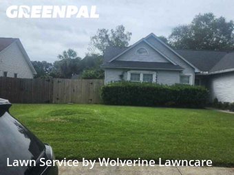 Lawn Cut nearby Summerville, SC, 