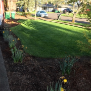 the-yard-cutting-businesses-in-Happy Valley-OR