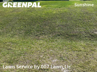 Lawn Cutting nearby Lehigh Acres, FL, 