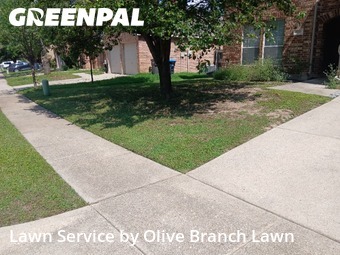 Lawn Mowing Service nearby Roanoke, TX, 