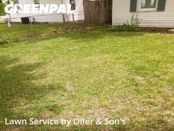 Grass Cut nearby Jerome, IL, 