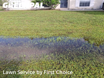 Grass Cut nearby Palm Coast, FL, 