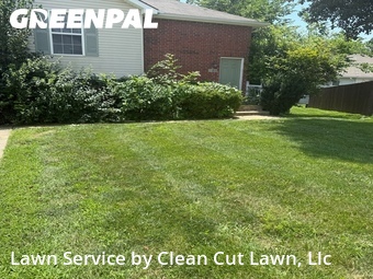 Grass Cutting nearby Blue Springs, MO, 