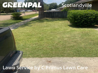 Grass Cutting nearby Baton Rouge, LA, 