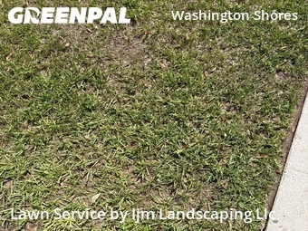 Grass Cut nearby Orlando, FL, 