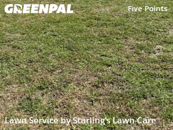 Lawn Mowing nearby Jacksonville, FL, 
