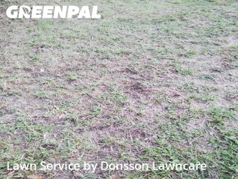 Lawn Care nearby Orlando, FL, 