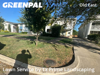 Yard Cutting nearby Dallas, TX, 