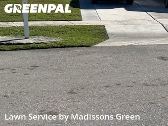 Lawn Cut nearby Greenacres, FL, 
