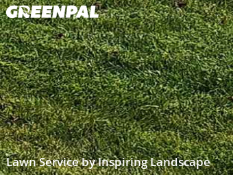 Lawn Cut nearby Colorado Springs, CO, 