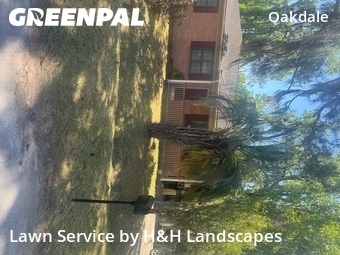 Lawn mowed in Savannah, 31406