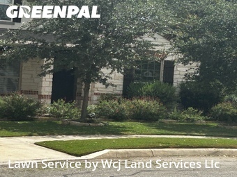 Grass Cutting nearby Boerne, TX, 