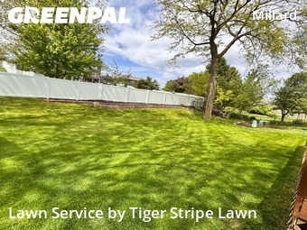 Grass Cut nearby Omaha, NE, 
