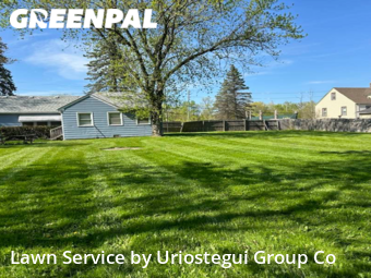 Yard Care Services in Wadsworth, 60083, Garden Trimming by Uriostegui Group Co, work completed in Dec , 2025