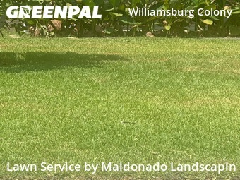 Lawn Cutting nearby Katy, TX, 