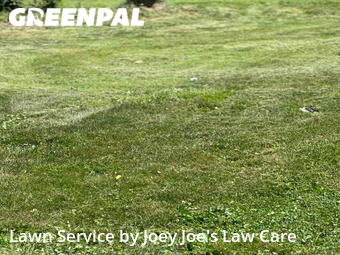 Lawn Mowing Service nearby Freedom, PA, 
