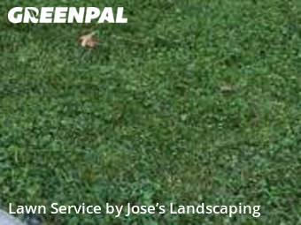 Grass Cut nearby Leesburg, VA, 