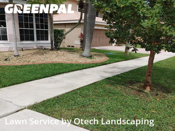 Grass Cut nearby Miramar, FL, 