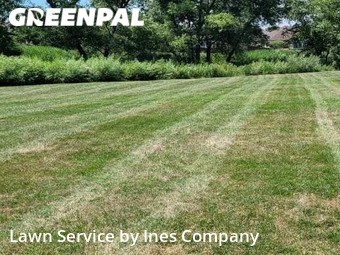 Grass Cutting nearby Bolingbrook, IL, 