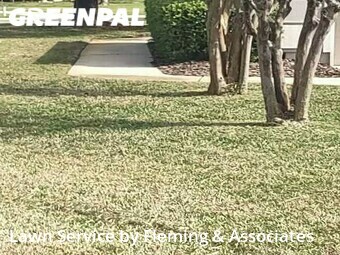 Lawn Cutting nearby Jacksonville, FL, 