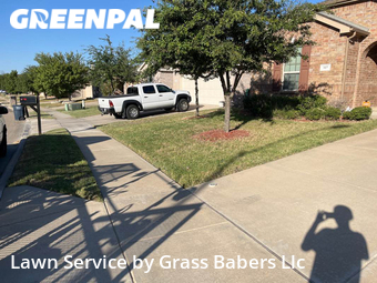 Grass Cutting nearby Fort Worth, TX, 