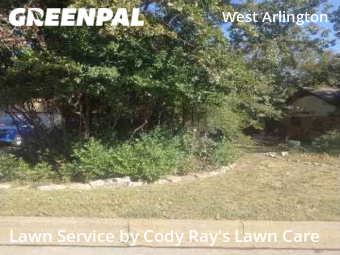 Lawn Mow nearby Arlington, TX, 
