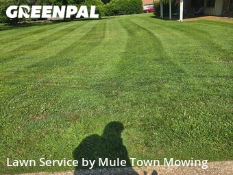 Backyard Landscaping In Columbia,38401,Landscaping Cleanup by Mule Town Mowing , work completed in Jul , 2026
