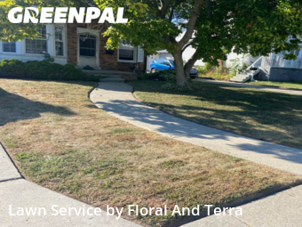 Lawn Care nearby Eastpointe, MI, 