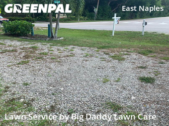 Lawn Mow nearby Naples, FL, 