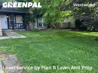 Grass Cutting nearby Indianapolis, IN, 