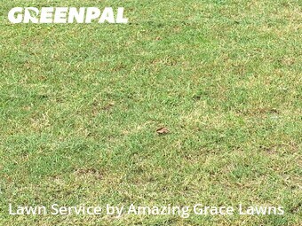 Grass Cutting nearby Lawrenceville, GA, 