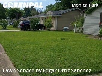 Grass Cut nearby Garland, TX, 