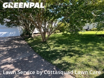 Yard Cutting nearby Virginia Beach, VA, 