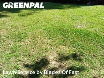 Lawn Mowing nearby Atlanta, GA, 
