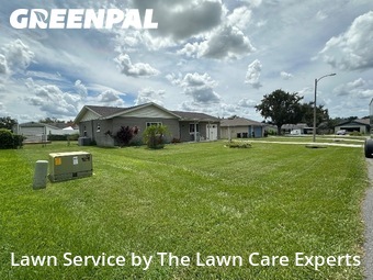 Yard Cutting nearby Lakeland, FL, 