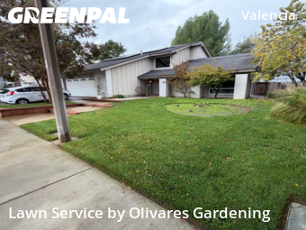 Landscaper In Santa Clarita,91355,Landscape Design by Olivares Gardening , work completed in Nov , 2025
