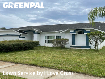 Grass Cutting nearby Land O' Lakes, FL, 