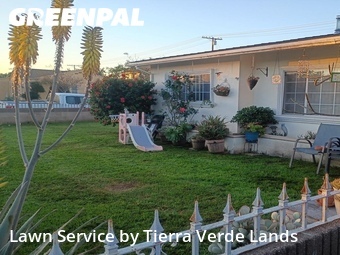 Grass Cutting nearby Downey, CA, 