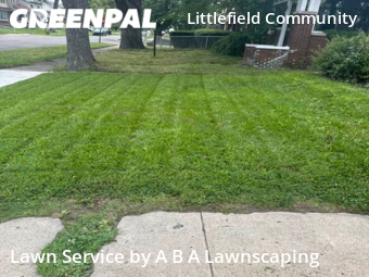 Lawn Care nearby Detroit, MI, 