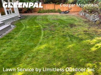Lawn Servicein Bellevue,98006,Lawn Service by Limitless Outdoor Svc, work completed in Nov , 2025