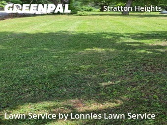 Lawn mowed in Madison, 37115