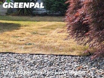 Grass Cutting nearby Kent, WA, 