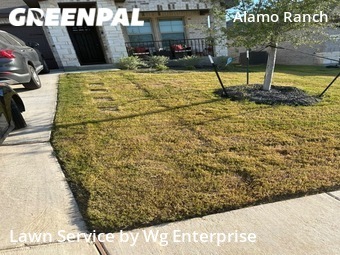 Lawn Maintenance nearby San Antonio, TX, 