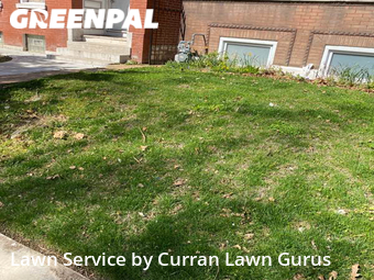 Lawn Care Service nearby St. Louis, IL, 