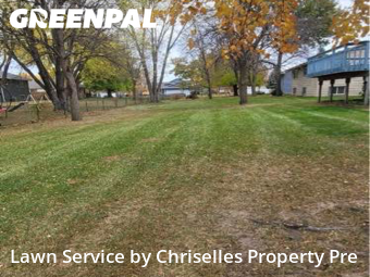 Landscaping In Minneapolis,55443,Landscaping Cleanup by Chriselles Property Pre, work completed in Nov , 2025