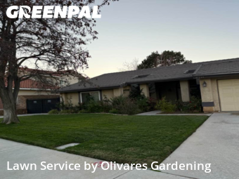 Landscaping Maintenance In Palmdale,93551,Landscapers by Olivares Gardening , work completed in Dec , 2025