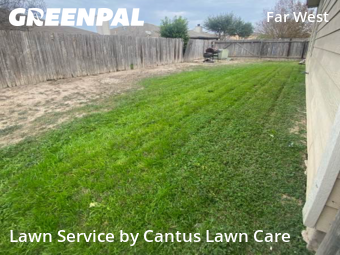 Grass Cuttingin San Antonio,78245,Lawn Mowing by Cantus Lawn Care, work completed in Jan , 2026