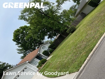Lawn Cutin Orange Park,32003,Lawn Service by Goodyard , work completed in Jun , 2026